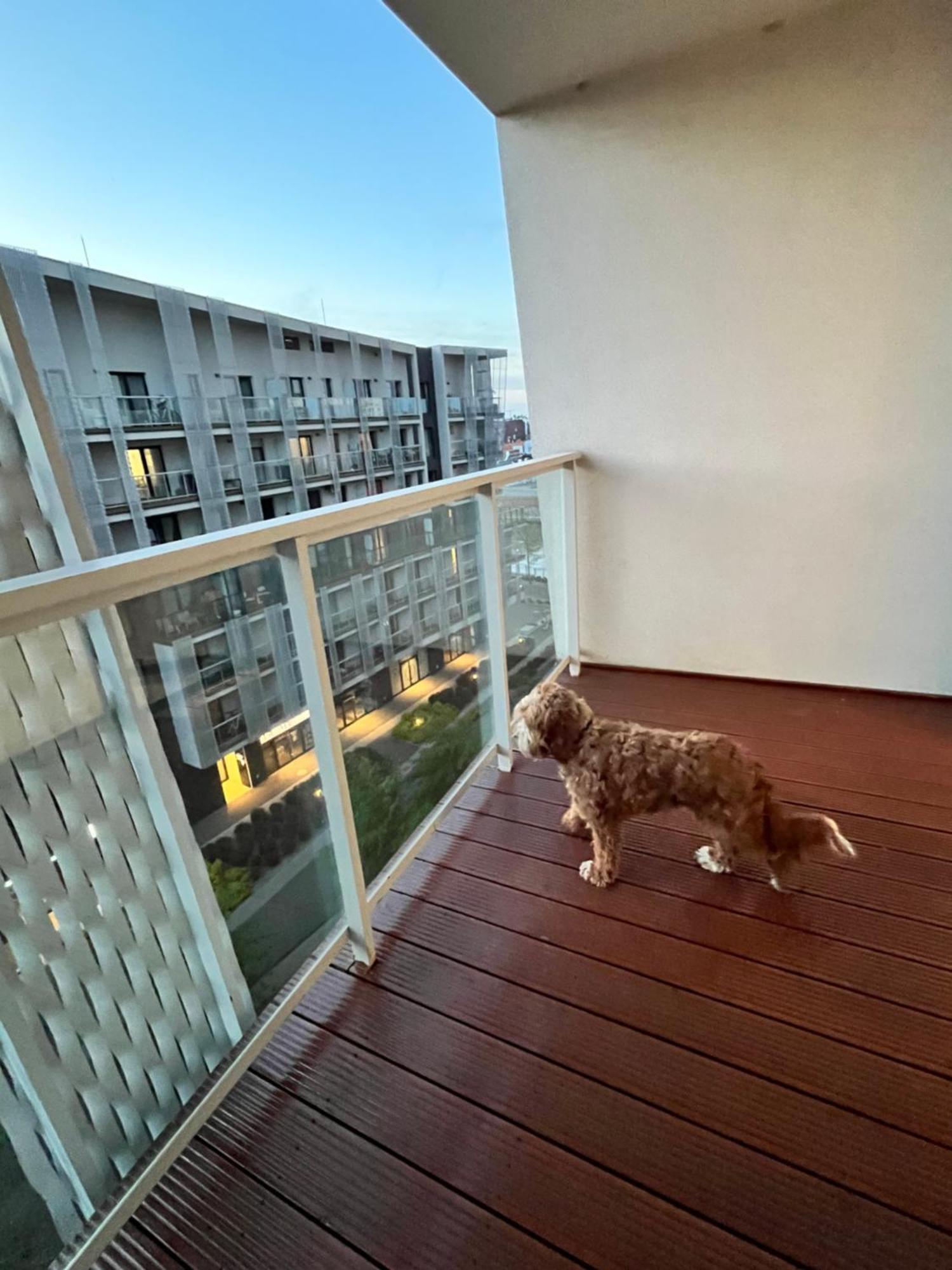 Family House By The River Odra -Panoramic Terrace - 3Room Apartment With 2 Separate Bedrooms And 2 Balconies By Wroapart-Pl- Perfect For Family & Business Stays Breslavia Esterno foto